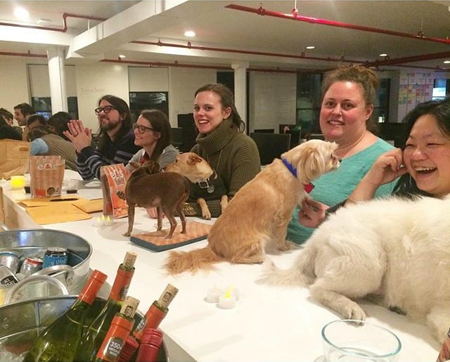 Guests and their dogs enjoy trivia night.