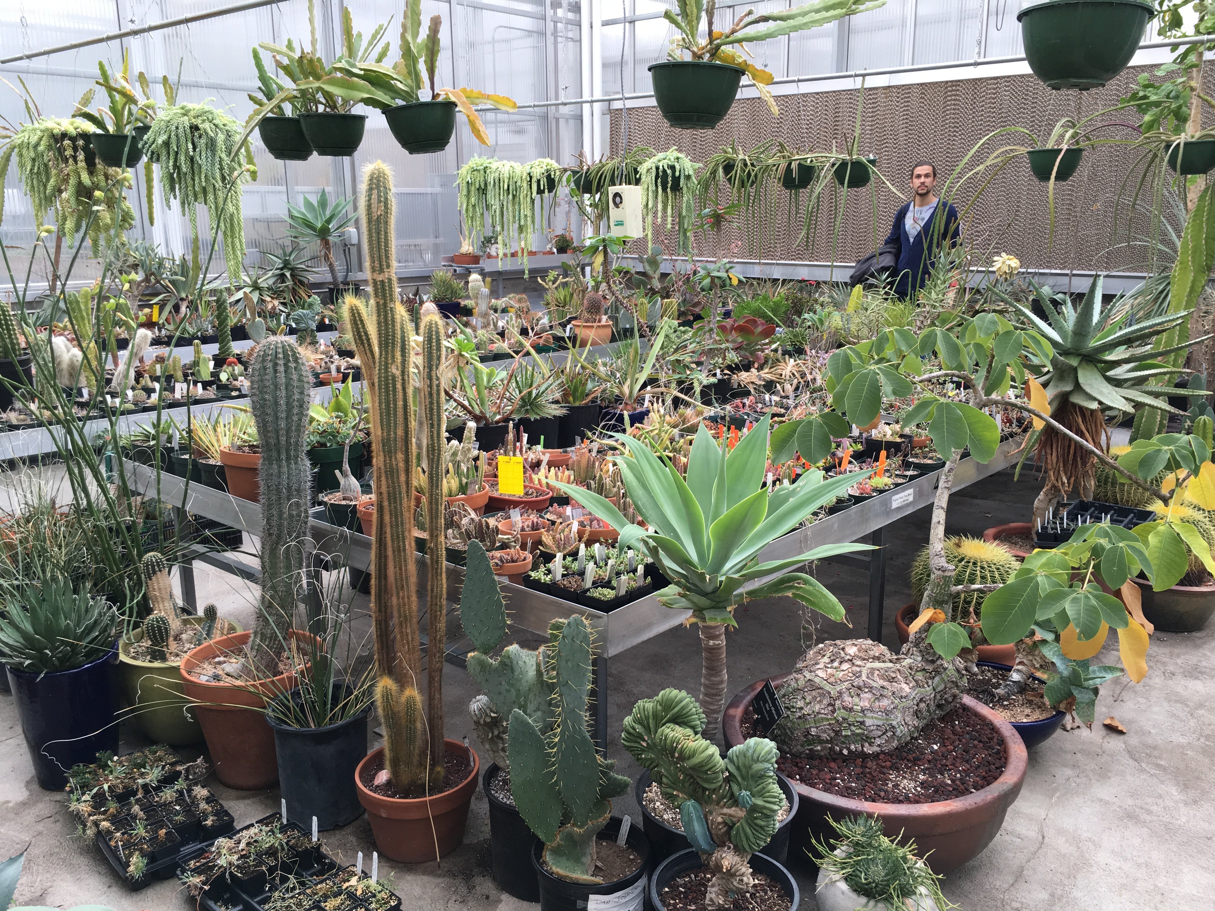 We explore the incredible gardens.