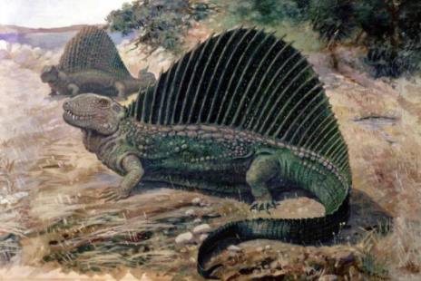 Example from the museum collection